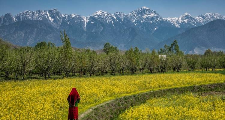 Golden Triangle with Pahalgam Tour - Golden Triangle India Tours 9