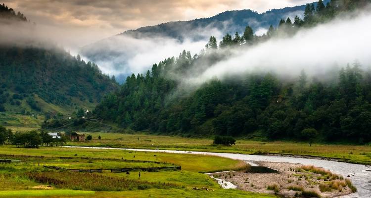 North East India Monastic and Wildlife Tour - Golden Triangle India Tours 2