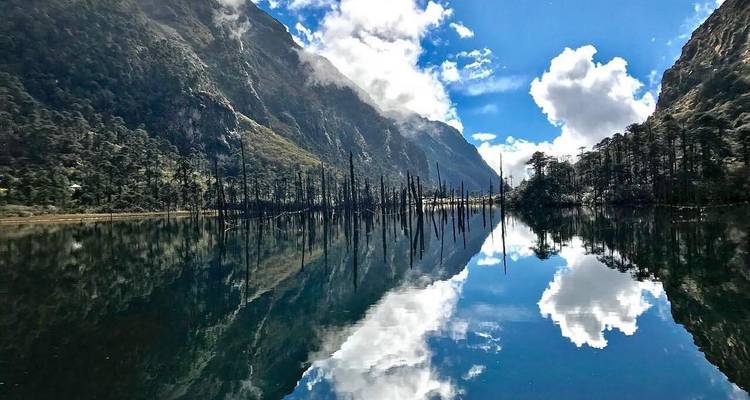 North East India Monastic and Wildlife Tour - Golden Triangle India Tours 4