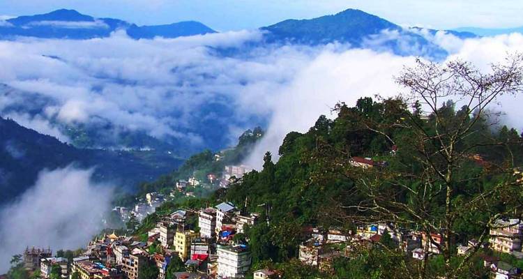Circuito a Darjeeling y Gangtok - Golden Triangle India Tours 6