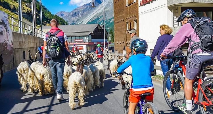 Scenic Switzerland Train Tour with Glacier Express, Daily Departure - Agate Travel 6