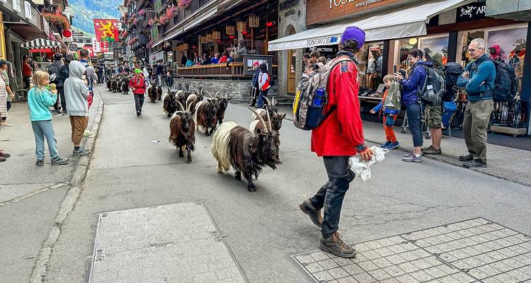 8-Day Independent Tour of Switzerland Train Experience - Agate Travel 9