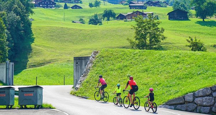 8-Day Independent Tour of Switzerland Train Experience - Agate Travel 4
