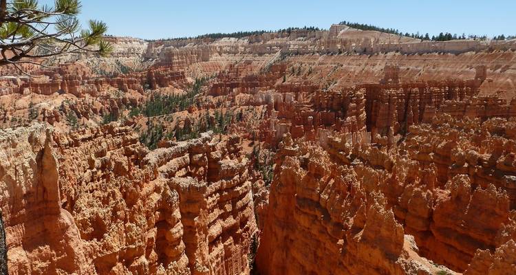 Private Camping Tour-National Parks Tour 3 Days Small Group Tour from Las Vega - Bindlestiff Tours 7