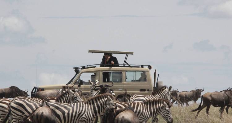 5 jours - Manyara, Serengeti, Ngorongoro et Tarangire - Lappet Faced Safaris 1