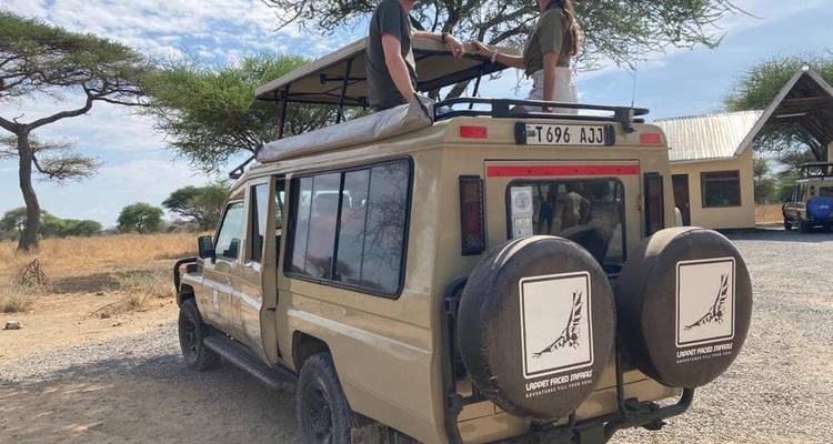4 Days - Tarangire, Serengeti and Ngorongoro Crater - Lappet Faced Safaris 4