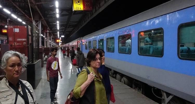 Rajasthan Wildlife Tour: Ranthambore National Park by Train - 5 Days - Memorable India Journeys 3