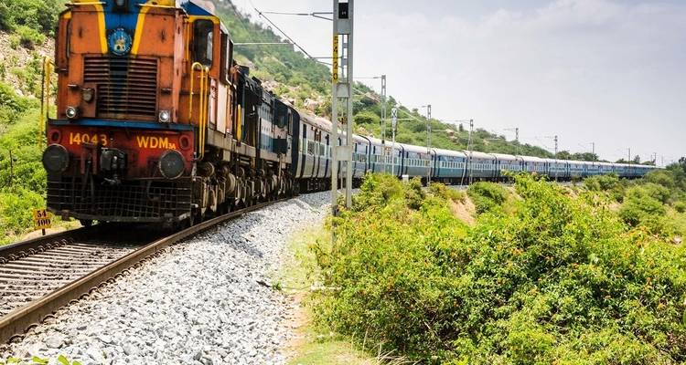 Visite de la faune et de la flore du Rajasthan : Parc national de Ranthambore en train - 5 jours - Memorable India Journeys 7