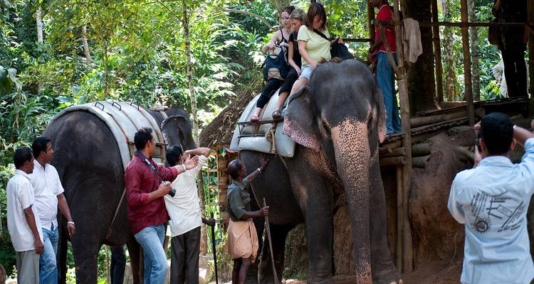 Increíble viaje a Kerala desde Cochin - 6 días - Memorable India Journeys 4