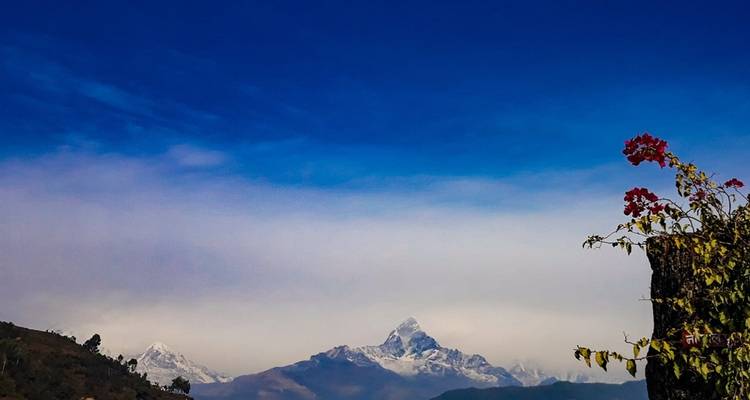 Visita Katmandú Pokhara - Alpine Ramble Treks  4