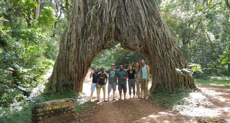 Un groupe de personnes posant sous l'Arche de l'Arbre à Figues.