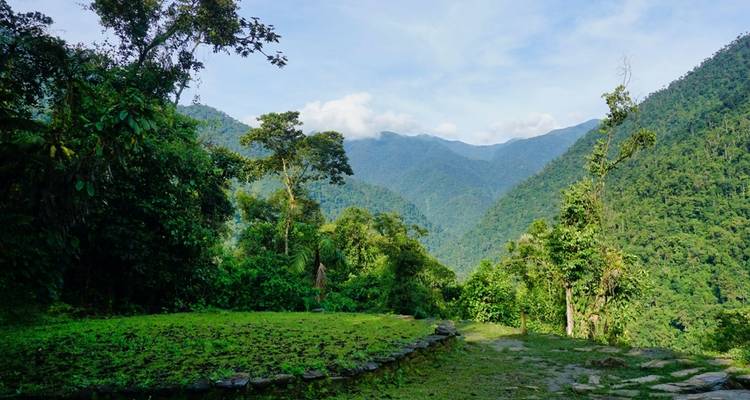 Üppiges grünes Tal mit fernen Bergen und bewölktem Himmel.