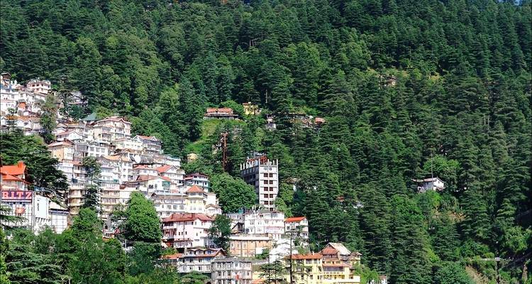 Hipnotizante Shimla, Manali y Chandigarh desde Delhi - 07 días - Memorable India Journeys 4