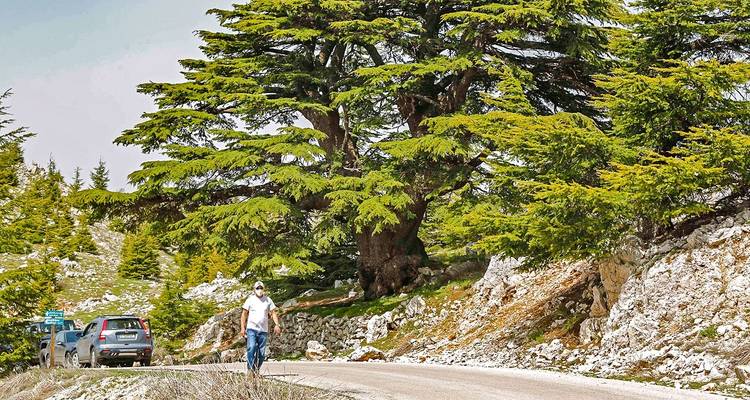 Tailor-Made Best Lebanon Tour with Daily Departure & Private Guide - Agate Travel 9