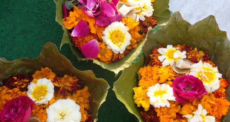 Excursión de 3 días a Rishikesh desde Delhi - Memorable India Journeys 4