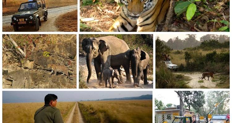 Circuit privé de 12 jours en voiture à Utranchal et dans le parc national de Corbett avec Taj Mahal - Avtar India Tours 8