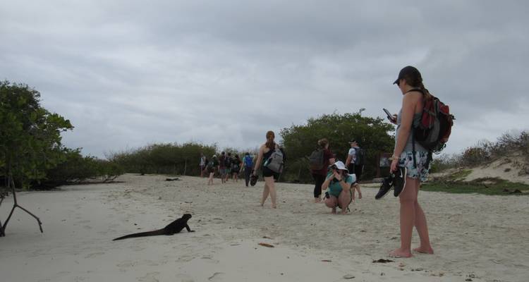 Quito et; Galapagos Adventure Tour - 7 jours - Cami Adventures 1