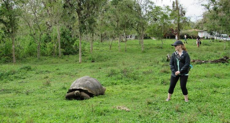 Quito et; Galapagos Adventure Tour - 7 jours - Cami Adventures 2