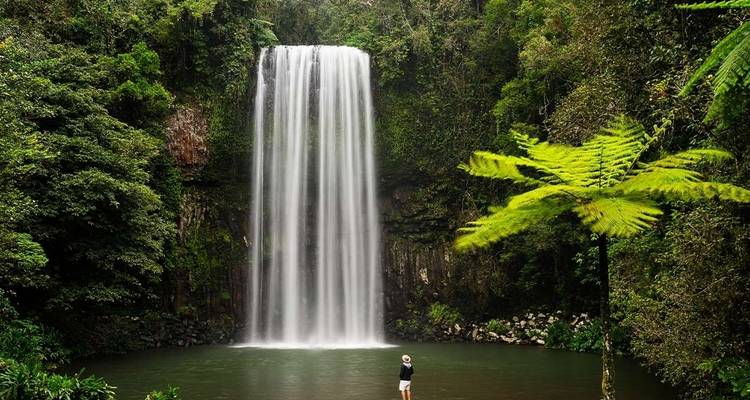 Queensland Coast Adventure - Intrepid Travel 4