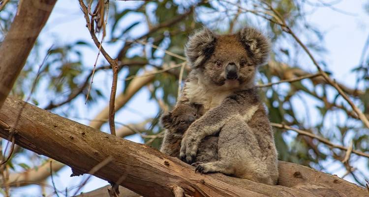 Queensland Coast Adventure - Intrepid Travel 1