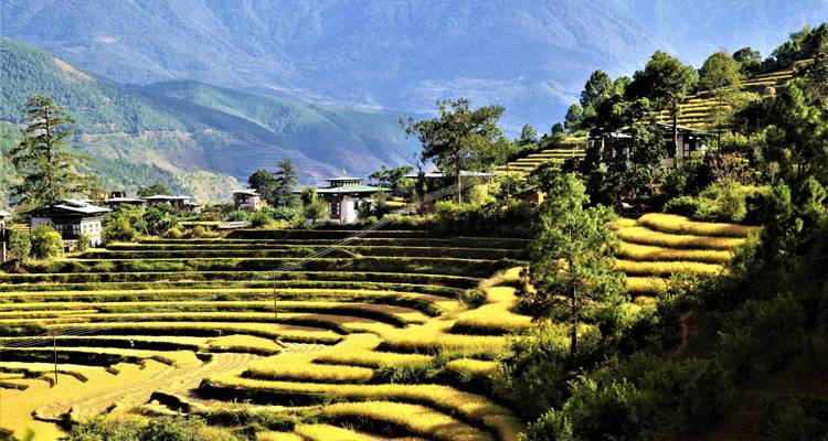 Festival de Paro - Bhutan Best Inbound Tour 8