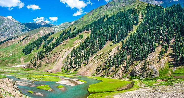 Verdure à couper le souffle et vue sur la rivière avec les montagnes en arrière-plan.