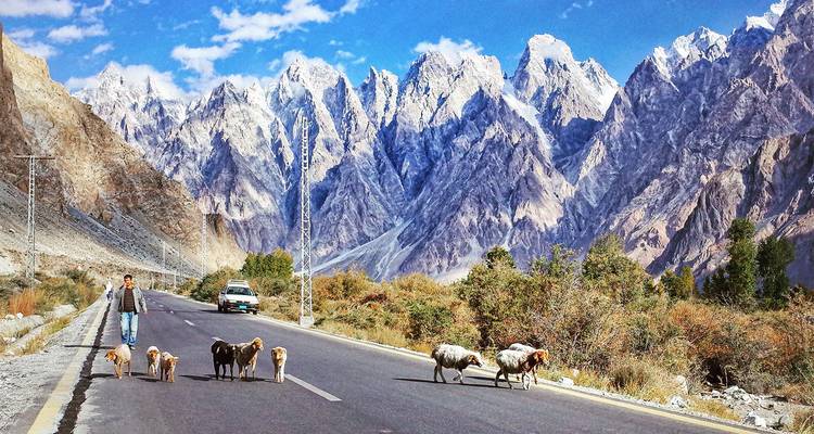 Pastor caminando con un rebaño por un camino montañoso.
