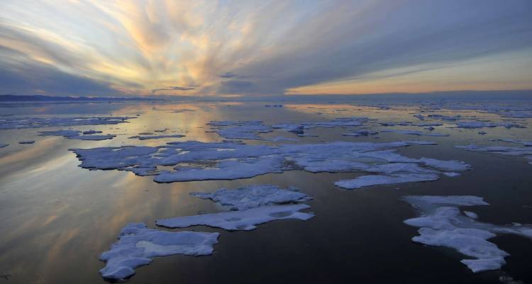 Spitsbergen, Groenlandia e Islandia - M/V Greg Mortimer - Explore! 6