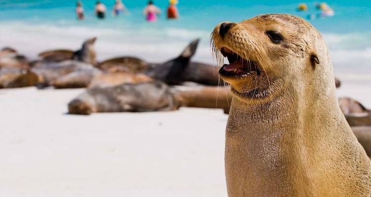 Galapagos - Central, South & Eastern Islands aboard the Yolita - Explore! 6