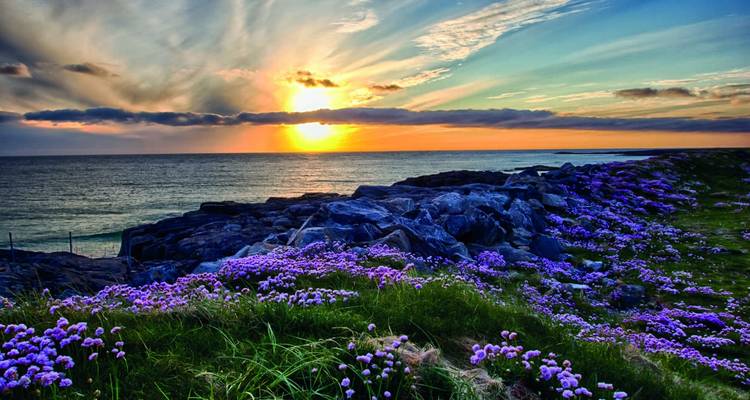 Wild Scotland - M/V Greg Mortimer - Explore! 2