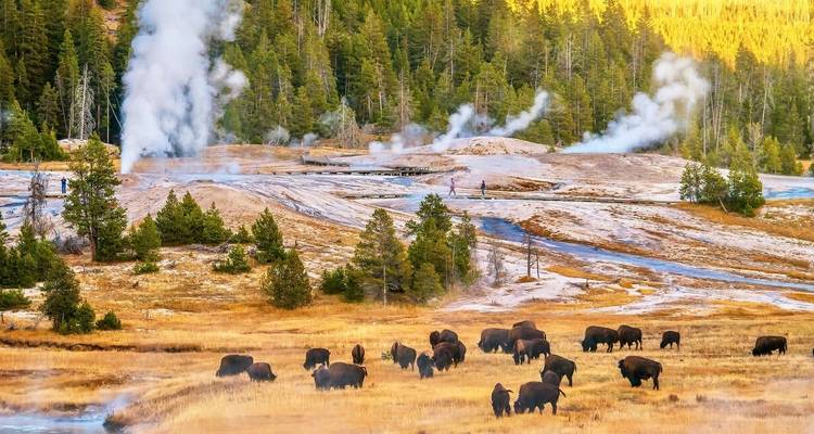 Découvrez Yellowstone et les Grand Tetons - Explore! 10