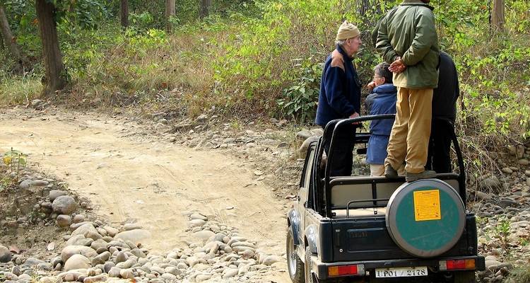 Forfait de voyage pour le parc national Jim Corbett - Memorable India Journeys 3