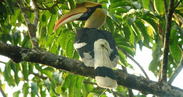 Forfait de voyage pour le parc national Jim Corbett - Memorable India Journeys 6
