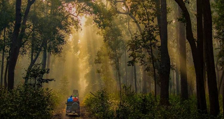 Forfait de voyage pour le parc national Jim Corbett - Memorable India Journeys 7
