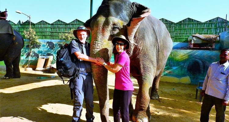 Mensen die poseren met een olifant in een toeristengebied met beschilderde muren.
