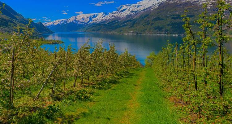 Fjords, charmes et traditions - 8 jours - On The Go Tours 8