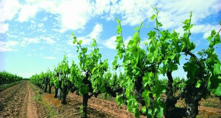 【Perth】7 jours d'excursion tout compris - Grands forfaits - Delightful Travel 2