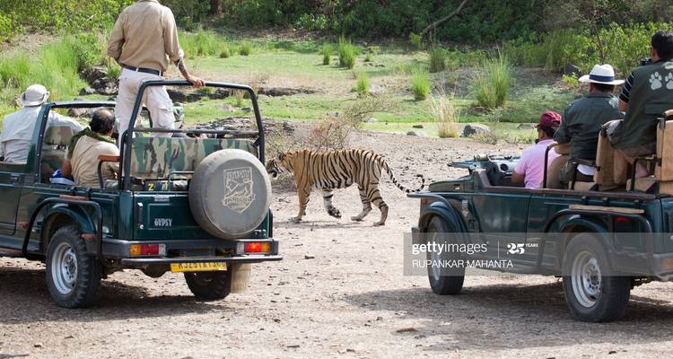 21 Days Rajasthan Forts,Palaces & Castles tour by car - Avtar India Tours 9