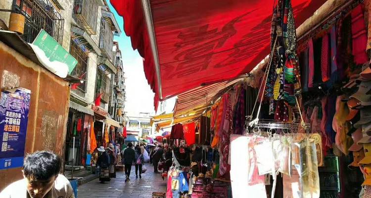 10 Days Lhasa to Everest Base Camp and Namtso Lake Group Tour - Silk Road Trips 6