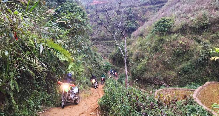 Motorrijders op een bospad met rijstterrassen.