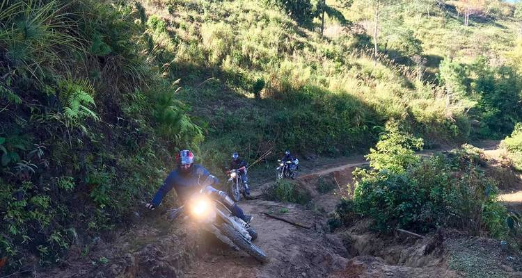 Motorrijders op een bospad.