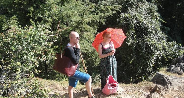 Circuito de 4 días a la cueva de Mahavatar Babaji desde Delhi - Memorable India Journeys 3