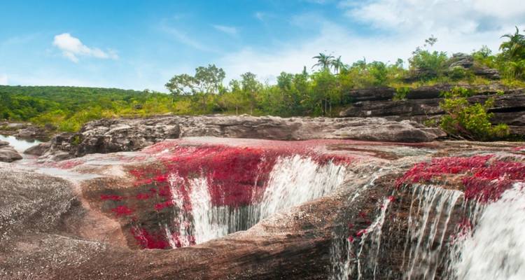 Caño Cristales 3 days tour from Bogota - GUIDEcuador Travel 2