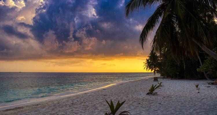 Tailor-Made Best Maldives Tour with Daily Departure & Private Guide - Agate Travel 1