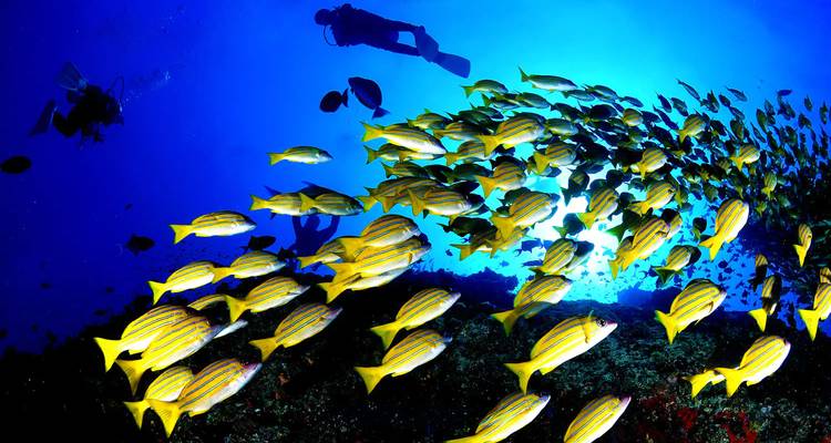 Tailor-Made Best 5 Days Maldives Family Tour, Daily Start & Private Guide - Agate Travel 10