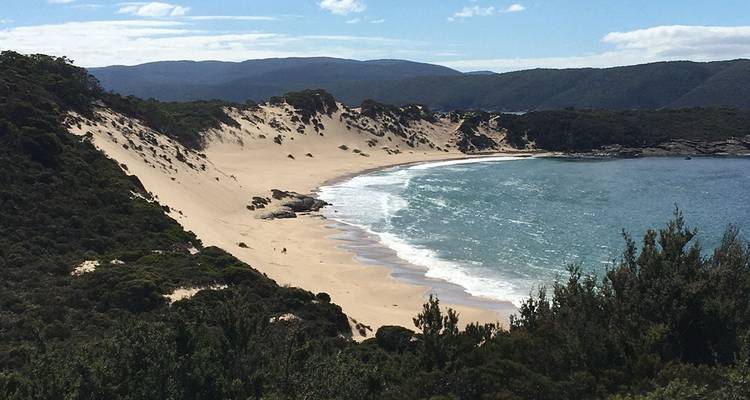 Marcher dans la péninsule de Tasman - Intrepid Travel 2
