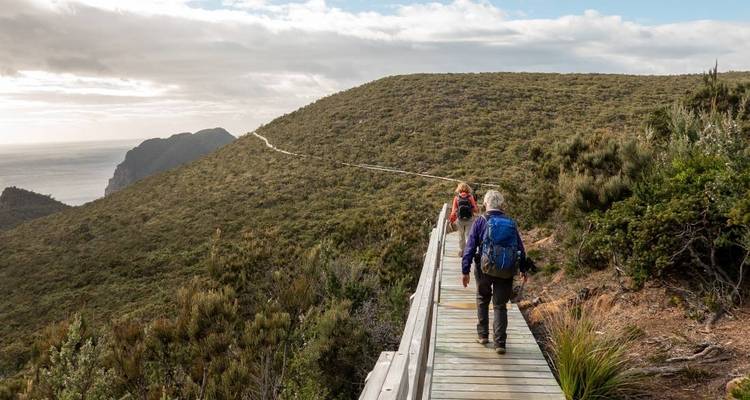 Marcher dans la péninsule de Tasman - Intrepid Travel 4