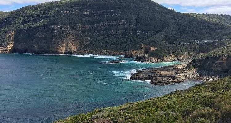 Marcher dans la péninsule de Tasman - Intrepid Travel 6