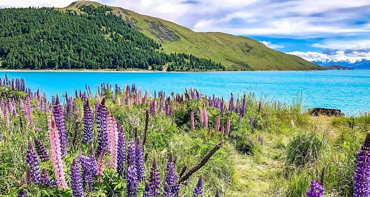 South Island Essence Coach Tour - Agate Travel 2