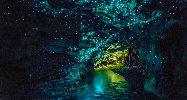 South Island Essence Coach Tour - Agate Travel 3
